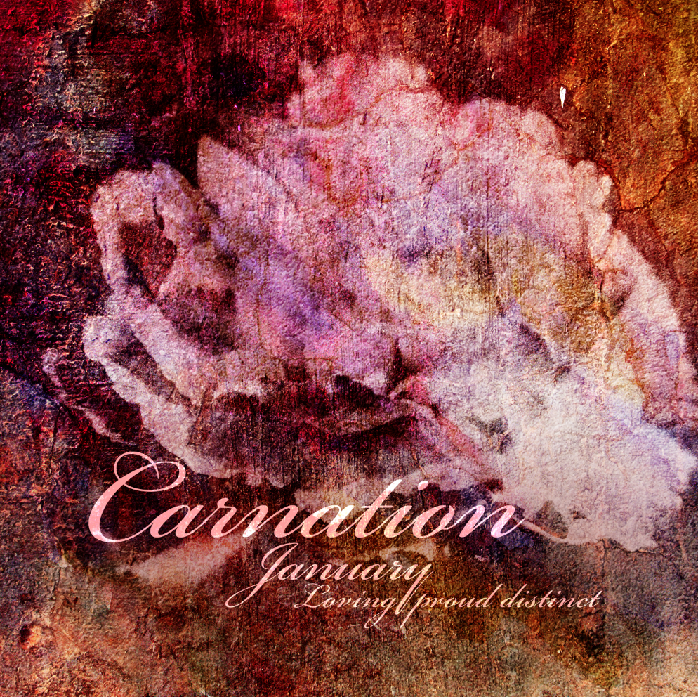 January's Birth Month Flower