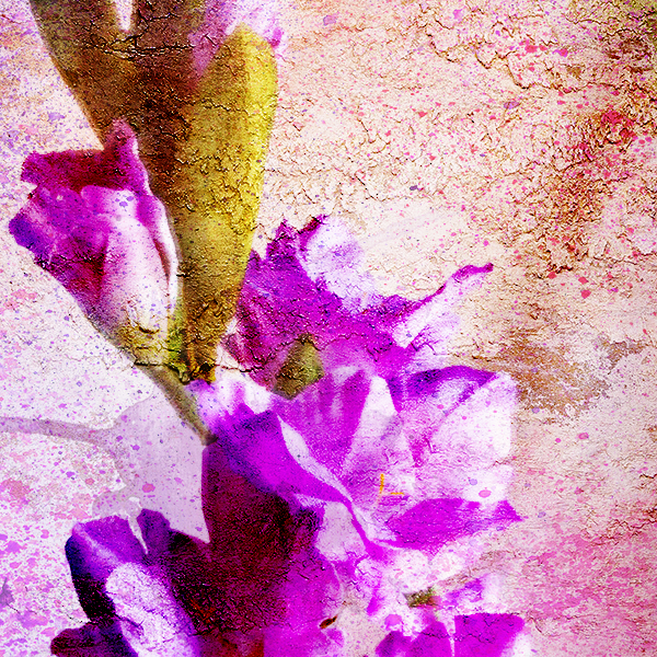 July's Birth Month Flower