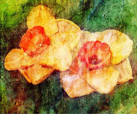 Birthday Blossoms Wall Art - Daffodil