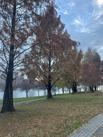Welcome to Autumn