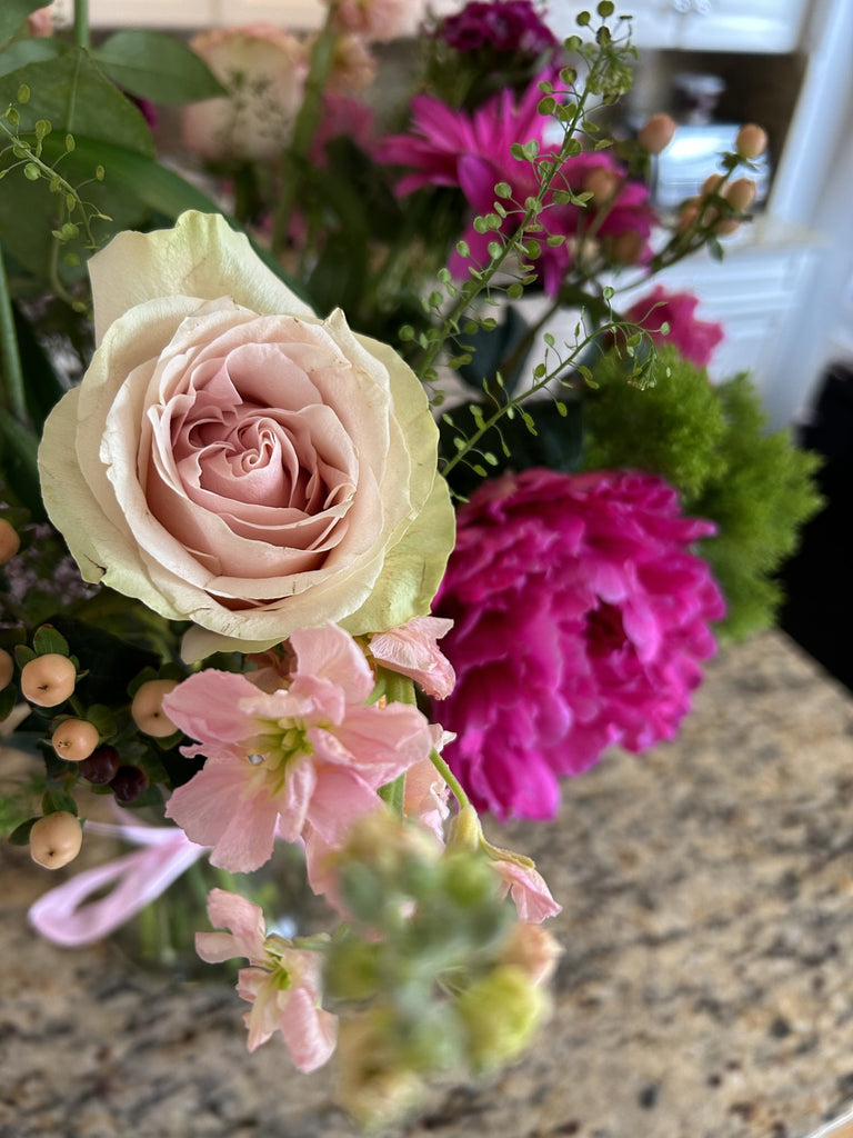 Welcome to June