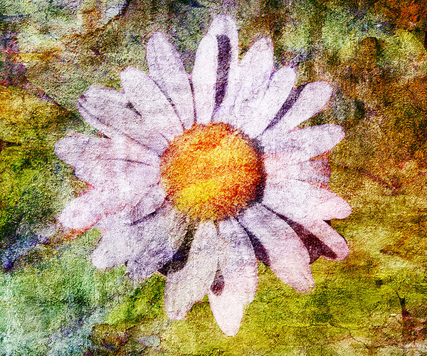 Birthday Blossoms Wall Art - Daisy