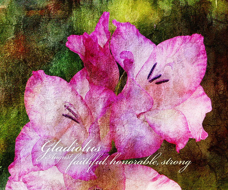 Birthday Blossoms Wall Art - Gladiolus, with characteristic description