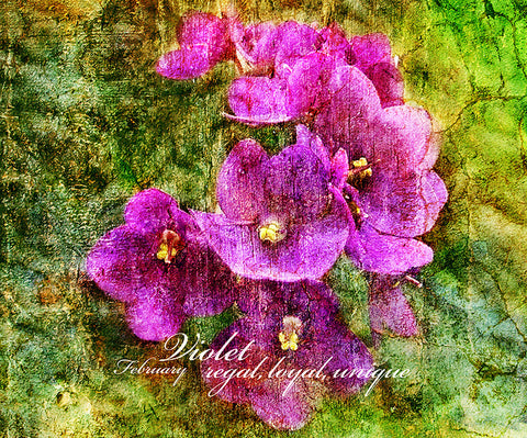 Birthday Blossoms Wall Art - Violet, with characteristic description