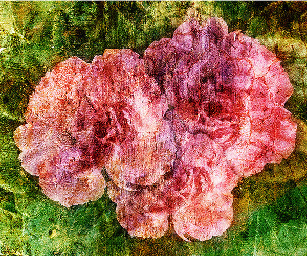 Birthday Blossoms Wall Art - Carnation