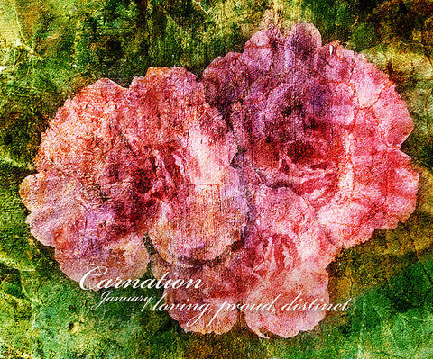 Birthday Blossoms Wall Art - Carnation, with characteristic description