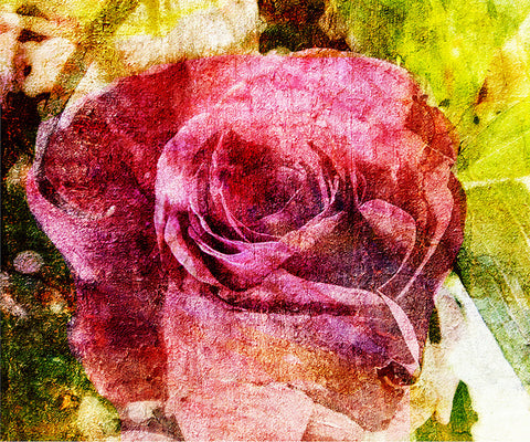Birthday Blossoms Wall Art - Rose