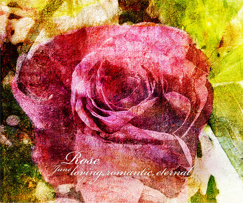 Birthday Blossoms Wall Art - Rose, with characteristic description