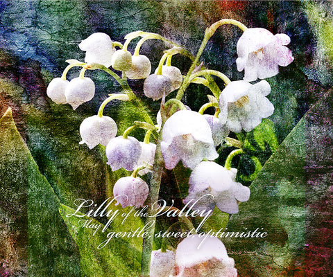 Birthday Blossoms Wall Art - Lilly of the Valley, with characteristic description