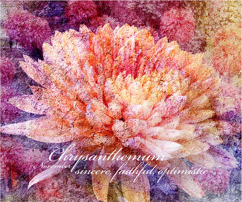 Birthday Blossoms Wall Art - Chrysanthemum, with characteristic description