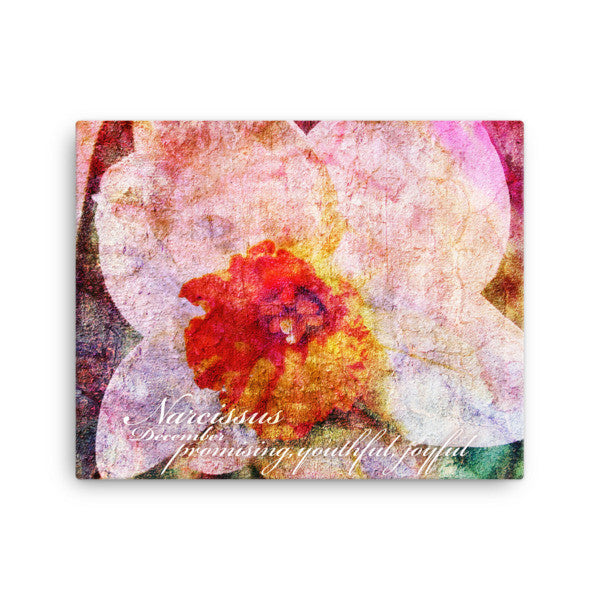 Birthday Blossoms Wall Art - Narcissus, with characteristic descriptions