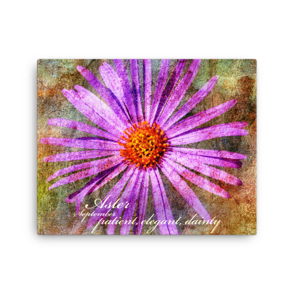 Birthday Blossoms Wall Art - Aster, with characteristic description