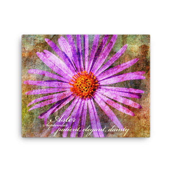 Birthday Blossoms Wall Art - Aster, with characteristic description
