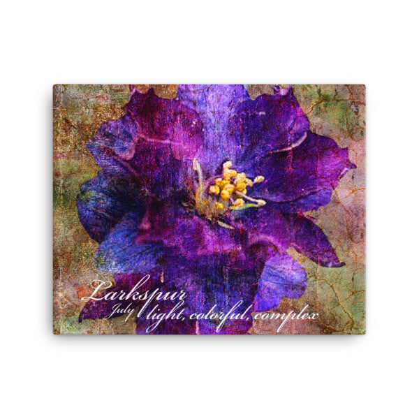 Birthday Blossoms Wall Art - Larkspur, with characteristic description