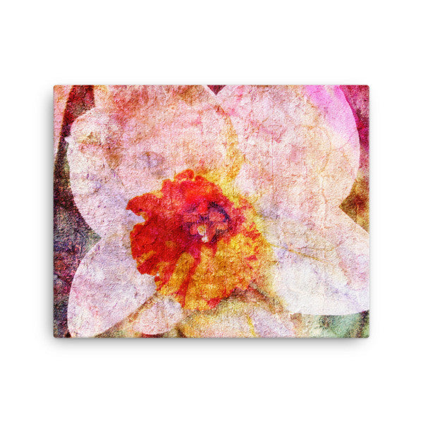 Birthday Blossoms Wall Art - Narcissus